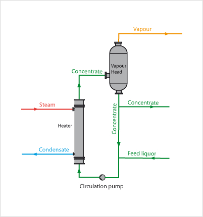 Rising-film-evaporator